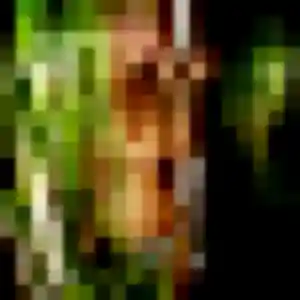 Photo exclusive de Aurore, 38 ans à Sargé-lès-le-Mans - rencontre coquine
