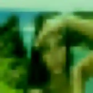 Yaa, fille de 22 ans cherche plan cul à Sari-Solenzara