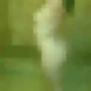 Tabitha, 22 ans, disponible à Sault-lès-Rethel pour un plan cul