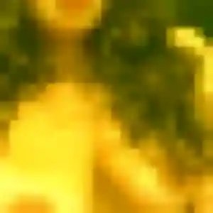 Omotola, fille de 40 ans propose plan cul à Savigny-lès-Beaune