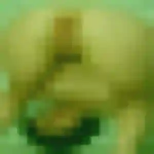 Omolara, 30 ans, connectée à Seilhac pour une rencontre coquine