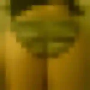 Découvre Amandine, 23 ans à Semoutiers-Montsaon en privé