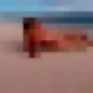 Francine, 31 ans, disponible à Senouillac pour une rencontre coquine
