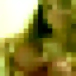 Charmante Delphine, 45 ans à Sermersheim - la contacter