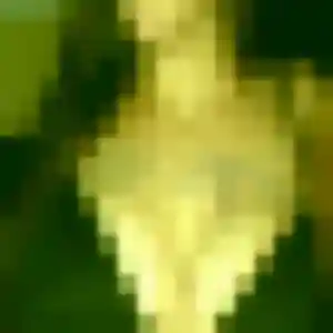 Profil de Déla à Serraval (34 ans) - plan cul anonyme
