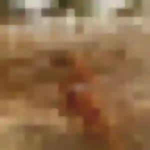 Sexy Yankuba, 38 ans à Sèvremoine - voir sa photo