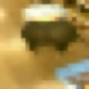 Adja (40 ans) à Sixt-Fer-à-Cheval cherche un plan cul rapidement