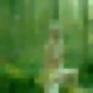 Ophélie, femme de 40 ans cherche plan cul à Soings-en-Sologne