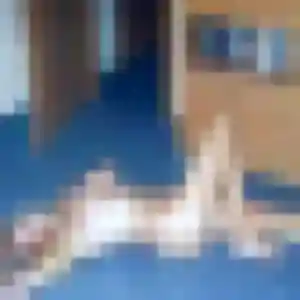 Sexy Rosalie, 45 ans à Sonchamp - voir sa photo