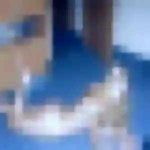 Photo privée de Ndèye, 29 ans à Sottevast - rencontre coquine