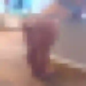 Contacte Célestine, 37 ans à Steenbecque gratuitement