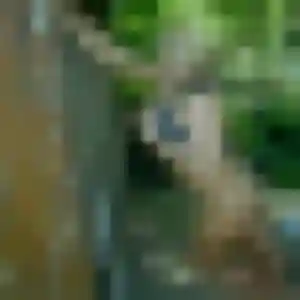 Njeri, 27 ans, connectée à Taglio-Isolaccio pour un plan cul