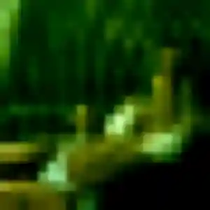 Photo perso de Emilie, 32 ans à Terres de Bord - plan discret