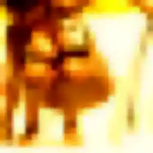 Photo exclusive de Bukola, 34 ans à Thanvillé - rencontre sans lendemain