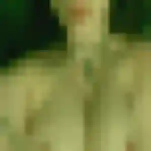 Photo exclusive de Isis, 29 ans à Torcy-le-Grand - rencontre coquine