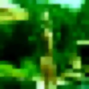 Photo de Mawusi à Torreilles (44 ans) - plan cul anonyme