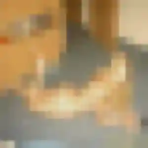 Charmante Déborah, 34 ans à Tourville-sur-Sienne - la contacter