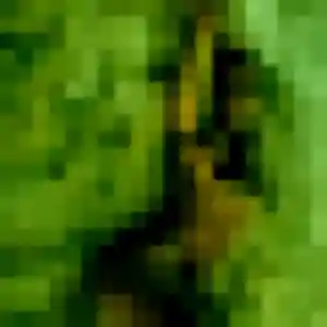 Photo de Banna à Trébeurden (31 ans) - plan cul anonyme