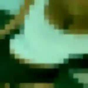 Photo perso de Éléonore, 22 ans à Tronget - rencontre coquine