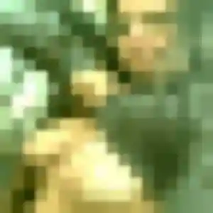 Photo de Chiamaka à Trouhans (30 ans) - plan cul discret