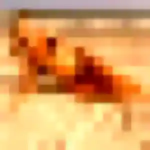 Photo de Shanelle à Uchacq-et-Parentis (27 ans) - plan cul anonyme