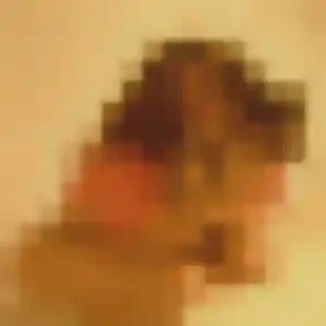 Diary, 44 ans, cherche un plan cul à Urcuit