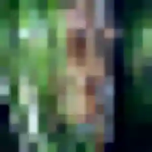 Photo de Akouavi à Uzès (30 ans) - plan cul anonyme