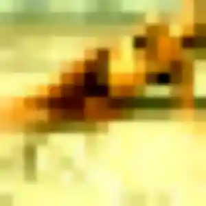 Sexy Soline, 26 ans à Vaison-la-Romaine - la contacter