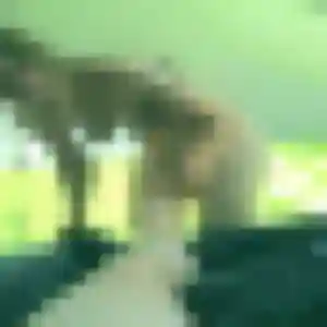 Assétou, 23 ans, dispo pour plan cul à Val-de-Meuse