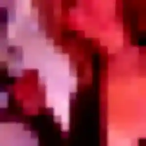 Photo privée de Ophélie, 30 ans à Val-du-Layon - rencontre sans lendemain