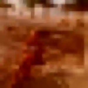 Sexy Solange, 40 ans à Val-du-Layon - voir sa photo