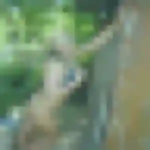 Ketty, 42 ans, cherche un plan cul à Valence
