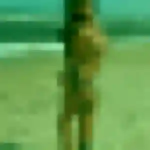 Photo perso de Rokhaya, 39 ans à Vallan - plan discret