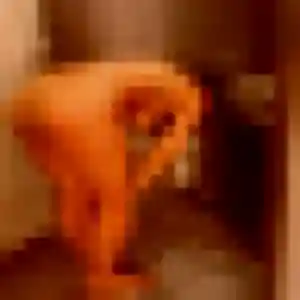 Soukeyna, 22 ans, cherche un plan cul à Varaville