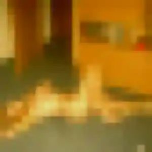 Photo sexy de Saffie, 41 ans à Varennes-en-Argonne - rencontre coquine