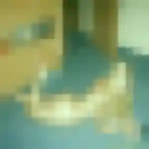 Chiamaka (30 ans) à Vaumoise attend une rencontre rapidement