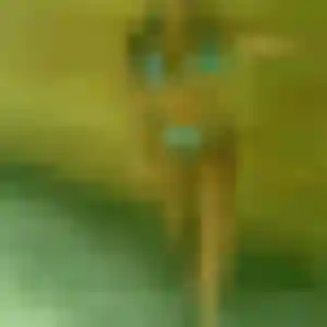 Adaeze, 22 ans, disponible à Vendays-Montalivet pour un plan cul