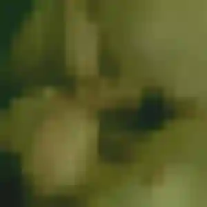 Sexy Félicité, 31 ans à Vergigny - la contacter