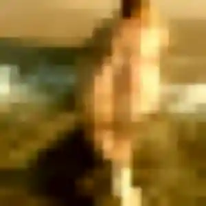 Sexy Dorothée, 41 ans à Vernouillet - voir sa photo