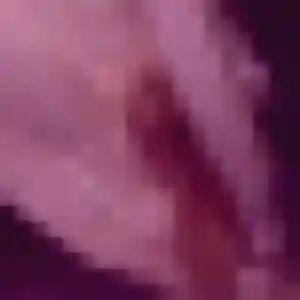 Photo de Njeri à Vernouillet (32 ans) - plan cul discret