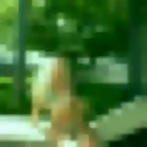 Grace, femme de 41 ans cherche plan cul à Versailles