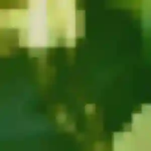 Lilou, 37 ans, cherche un plan cul à Vezin-le-Coquet