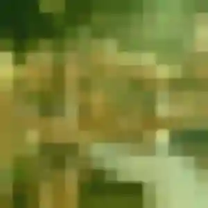 Profil de Gnilane à Vicq-sur-Mer (44 ans) - plan cul gratuit
