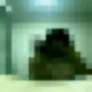 Djeneba, 28 ans, en ligne à Vierzon pour une rencontre coquine