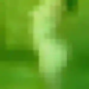 Photo de Roxane à Viggianello (31 ans) - plan cul discret