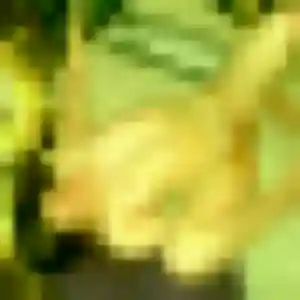 Aminata (42 ans) à Villebon-sur-Yvette cherche un plan cul ce soir