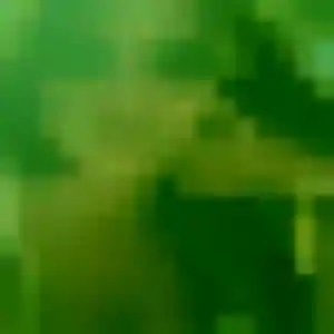 Béatrice, 33 ans, cherche un plan cul à Villemoisson-sur-Orge