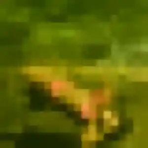 Photo de Promise à Villeneuve-le-Comte (43 ans) - plan cul anonyme