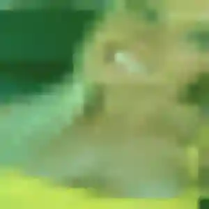 Promise (35 ans) à Villers-au-Tertre cherche une rencontre ce soir