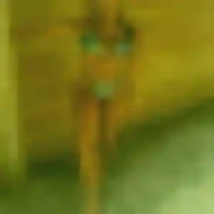 Joséphine, 44 ans, connectée à Villers-le-Lac pour une rencontre coquine